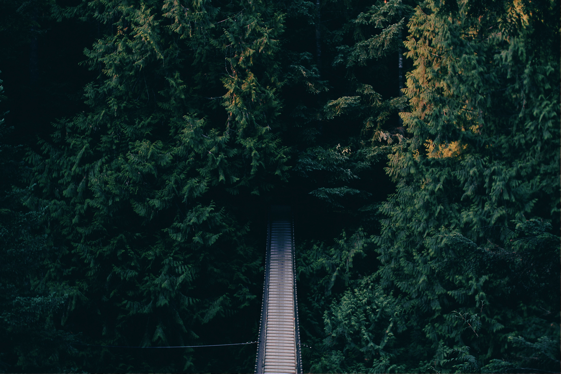 Wood bridge
